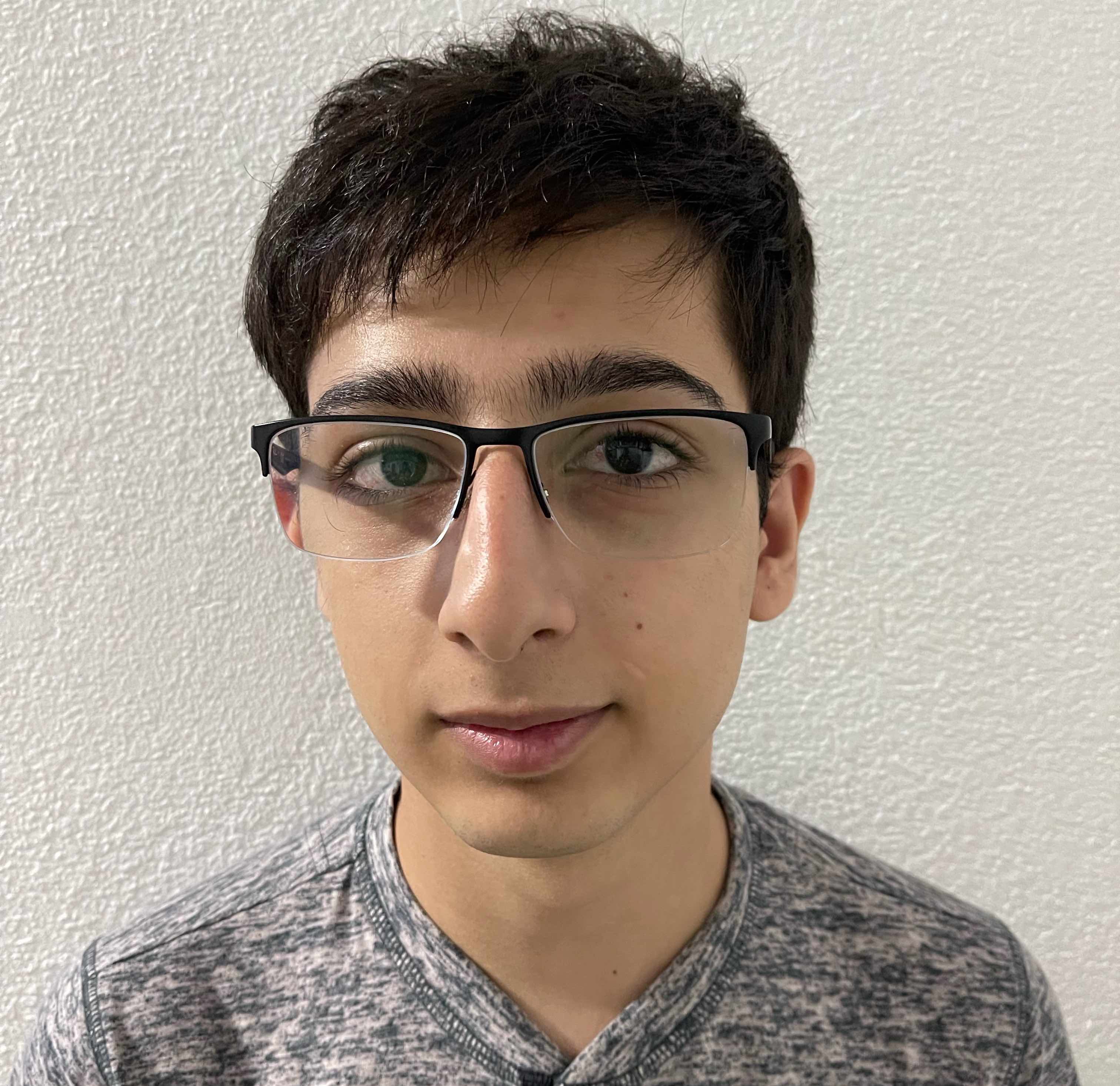 Portrait of Haris Mehrzad